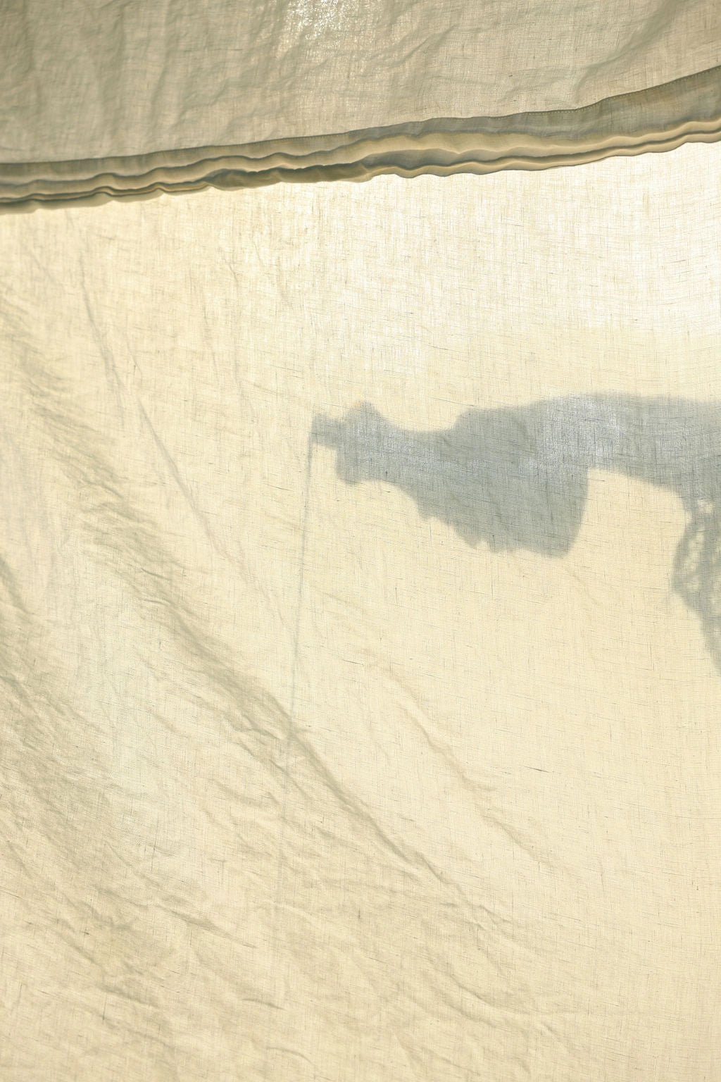 Eucalan Delicate Wash · Grapefruit · 500mL / 16.9 fl.oz