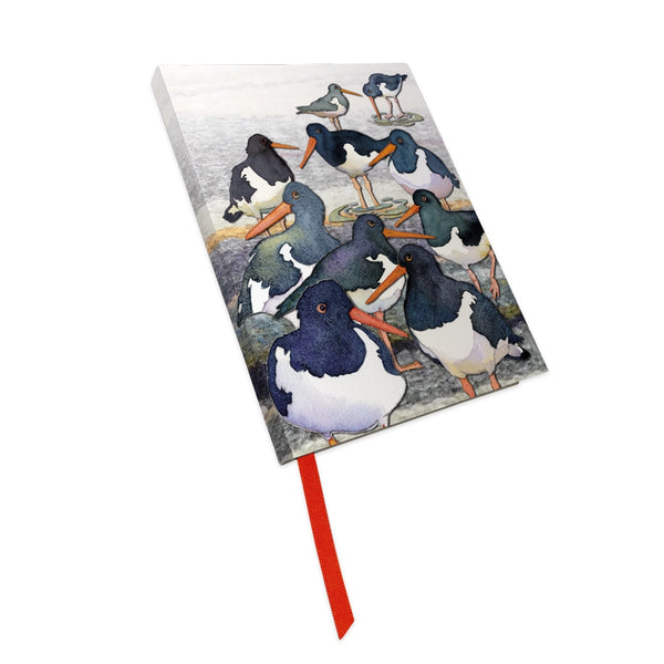 Oystercatchers Notebook